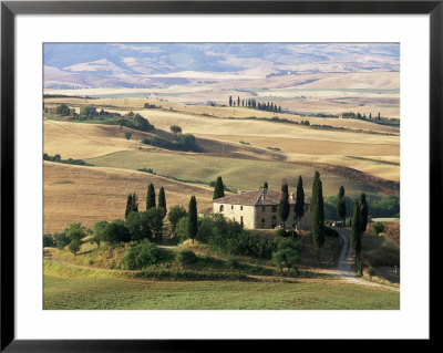 Farmhouse And Cypress Trees In The Early Morning, San Quirico D'orcia, Tuscany, Italy by Ruth Tomlinson Pricing Limited Edition Print image