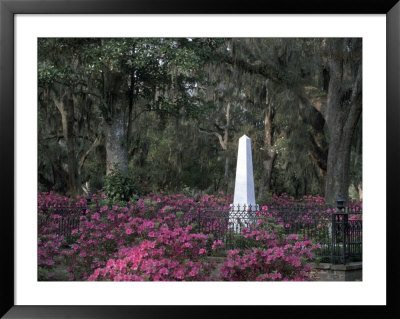 Bonaventure Cemetery, Savannah, Georgia, Usa by Joanne Wells Pricing Limited Edition Print image