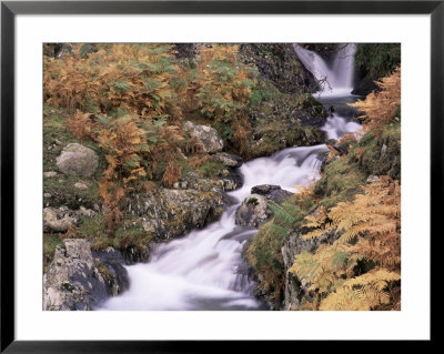 Waterfall In Autumn, Lake District, Cumbria, England, United Kingdom by John Miller Pricing Limited Edition Print image