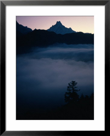 Fish Tail Mountain Above A Layer Of Cloud, Pokhara, Gandaki, Nepal by Shannon Nace Pricing Limited Edition Print image