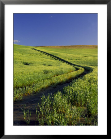 Road Thru Green Wheat Field, Palouse, Washington, Usa by Terry Eggers Pricing Limited Edition Print image