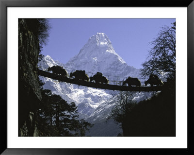 Bridge On Ama Dablam, Nepal by Michael Brown Pricing Limited Edition Print image