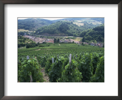 Beaujolais Vineyards, Beaujeau Village, Rhone Valley, France by David Hughes Pricing Limited Edition Print image