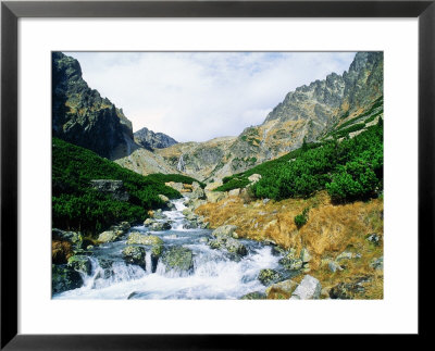 High Tatra Mountains National Park, Valley Of Velka Studena, Slovakia by Richard Packwood Pricing Limited Edition Print image