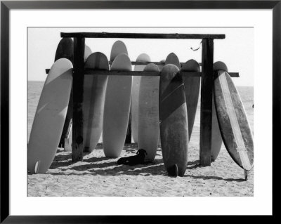 Dog Seeking Shade Under Rack Of Surfboards At San Onofre State Beach by Allan Grant Pricing Limited Edition Print image