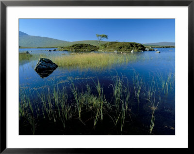 Lochain Na H'achlaise, Rannoch Moor, Western Highlands, Highland Region, Scotland by Lee Frost Pricing Limited Edition Print image