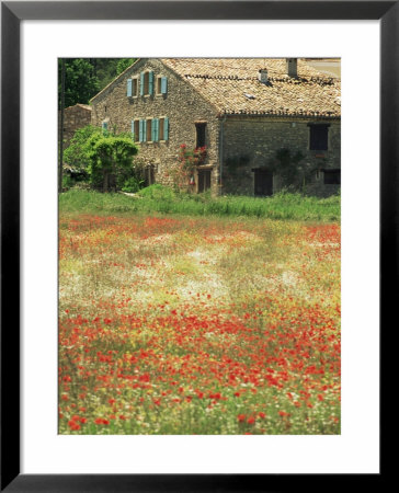 Farmhouse Near Gordes, Vaucluse, Provence, France by Michael Busselle Pricing Limited Edition Print image