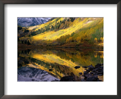 Aspen Forest Reflected In Maroon Lake, White River National Forest, Colorado, Usa by Greg Gawlowski Pricing Limited Edition Print image