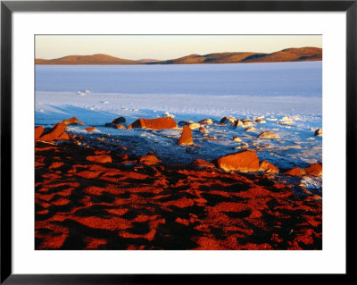 White Saltpan And Red Dunes, Lake Gairdner, Australia by Diana Mayfield Pricing Limited Edition Print image