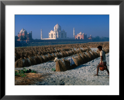 Melon Farm On Yamunas Banks With Taj Mahal In Background, Agra, Uttar Pradesh, India by Anders Blomqvist Pricing Limited Edition Print image