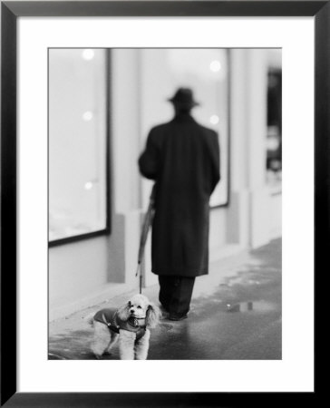 Poodle With Man, Lucerne, Switzerland by Walter Bibikow Pricing Limited Edition Print image