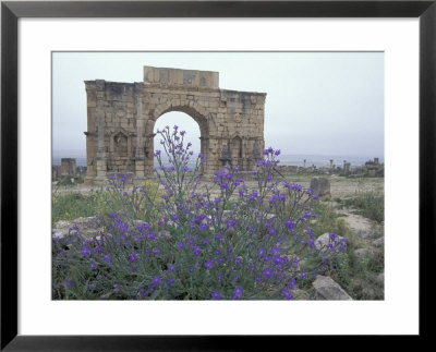 Ruins Of Triumphal Arch In Ancient Roman City, Morocco by John & Lisa Merrill Pricing Limited Edition Print image