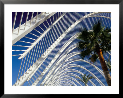 Umbracle, City Of Arts And Sciences, Architect Santiago Calatrava, Spain by Marco Simoni Pricing Limited Edition Print image