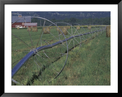 Irrigation Equipment In Hay Field With Bales And Red Barn, Bitteroot Valley, Montana, Usa by John & Lisa Merrill Pricing Limited Edition Print image