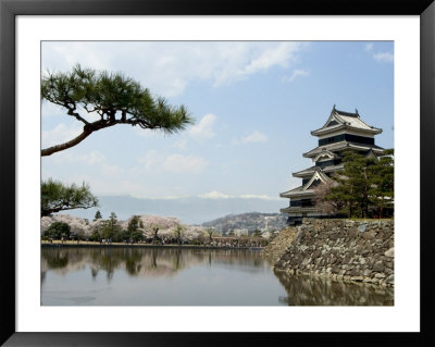 Pine Tree, Matsumoto Castle, Matsumoto City, Nagano Prefecture, Honshu Island, Japan by Christian Kober Pricing Limited Edition Print image
