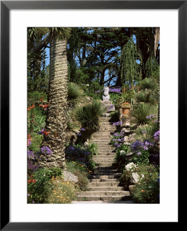 Abbey Gardens, Tresco, Isles Of Scilly, United Kingdom by Adam Woolfitt Pricing Limited Edition Print image