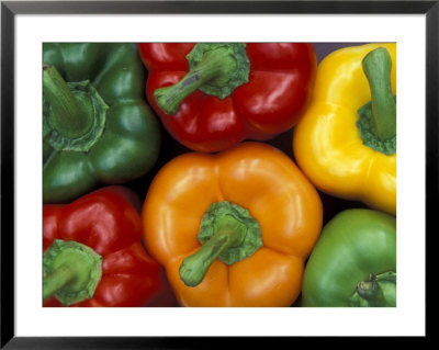 Bell Peppers, Washington, Usa by Jamie & Judy Wild Pricing Limited Edition Print image