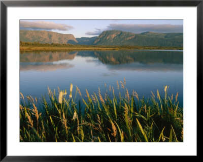 Grasses Grow Along The Edge Of A Lake by Michael S. Lewis Pricing Limited Edition Print image