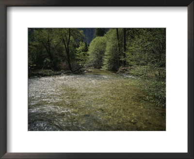 Yosemite Creek Flows Gently Across High Backcountry by Marc Moritsch Pricing Limited Edition Print image