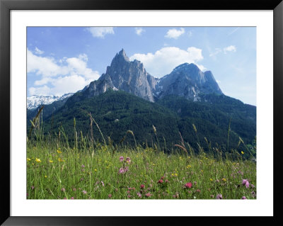 May Flowers And Mount Sciliar (Sclern), Dolomites, Trentino-Alto Adige (South Tirol), Italy by Richard Ashworth Pricing Limited Edition Print image