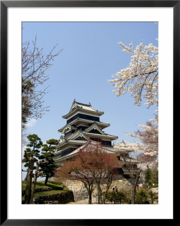 Cherry Blossoms, Matsumoto Castle, Matsumoto City, Nagano Prefecture, Honshu Island, Japan,Asia by Christian Kober Pricing Limited Edition Print image