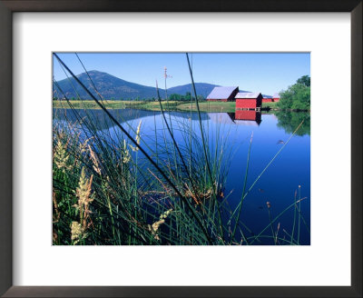 Fall River And Farm Buildings Near Glenburn, Mt. Shasta, California by John Elk Iii Pricing Limited Edition Print image