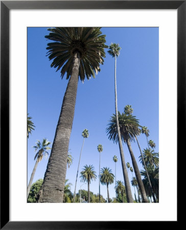 Beverly Drive, Beverly Hills, California, Usa by Ethel Davies Pricing Limited Edition Print image