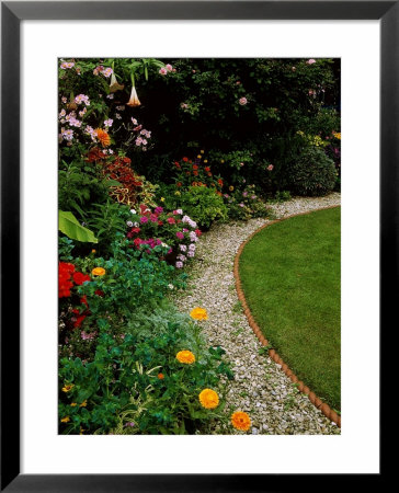 Close-Up Of Colourful Planting Of Annuals And Half Hardy Exotics, Alongside Gravel Path by Mark Bolton Pricing Limited Edition Print image
