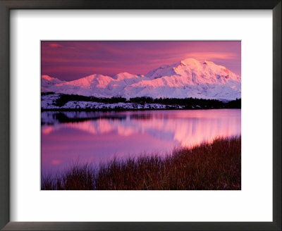 Mt. Denali At Sunset From Reflection Pond In Denali National Park, Alaska, Usa by Charles Sleicher Pricing Limited Edition Print image