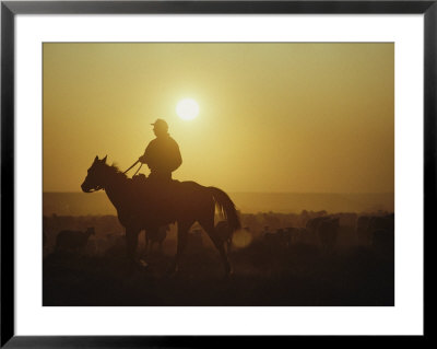 A Rancher Rounds Up Sheep On A Wyoming Farm by Joel Sartore Pricing Limited Edition Print image