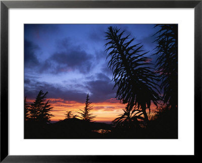 Sunset With Silhouettes Of Trees In Foreground by Todd Gipstein Pricing Limited Edition Print image