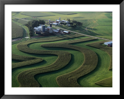 A Farm With Curved And Twisting Fields by Paul Chesley Pricing Limited Edition Print image