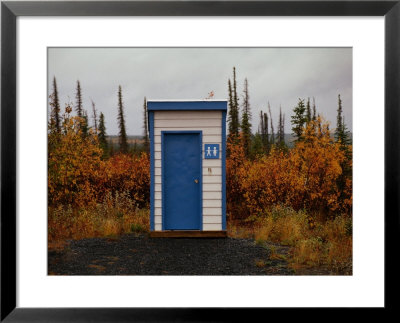 Outhouse In The Bush by Raymond Gehman Pricing Limited Edition Print image