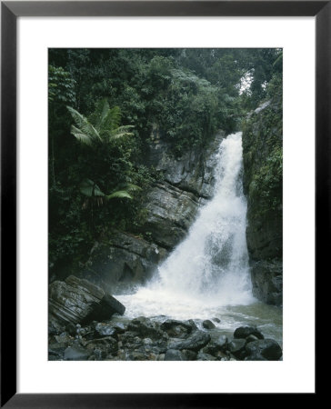A Waterfall In The Tropical Rainforest El Yunque Park In Puerto Rico by Taylor S. Kennedy Pricing Limited Edition Print image