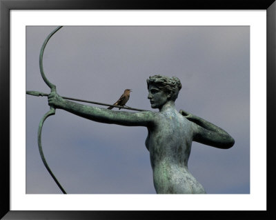 Mockingbird Atop A Bronze Sculpture Of Diana By Augustus Saint-Gaudens by Raymond Gehman Pricing Limited Edition Print image