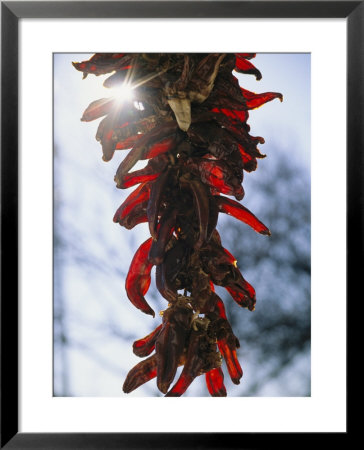 A Bunch Of Red Peppers Hung To Dry In Old Santa Fe by Stephen St. John Pricing Limited Edition Print image