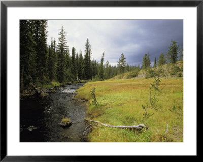 Bechler Meadows, Yellowstone National Park, Wyoming by Raymond Gehman Pricing Limited Edition Print image