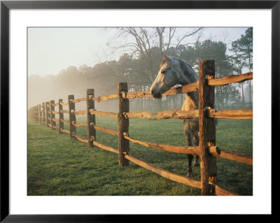 A Horse Watches The Mist Roll In Over The Fields by Richard Nowitz Pricing Limited Edition Print image
