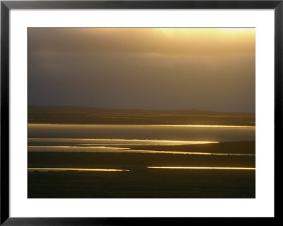 Marsh Ponds At Twilight by Norbert Rosing Pricing Limited Edition Print image