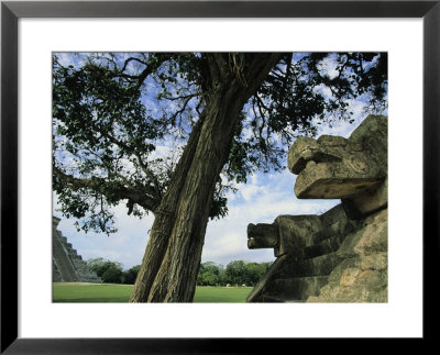Chichen Itza Scene by Steve Winter Pricing Limited Edition Print image