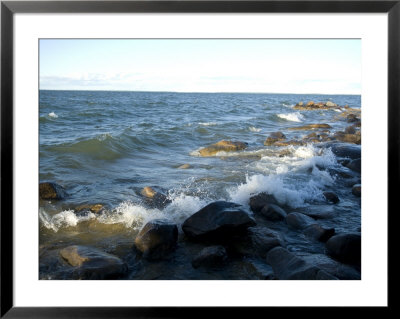 Along The Shores Of Leech Lake, Mn, Walker, Minnesota by Joel Sartore Pricing Limited Edition Print image