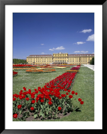 Palace And Gardens, Schonbrunn, Unesco World Heritage Site, Vienna, Austria by Peter Scholey Pricing Limited Edition Print image