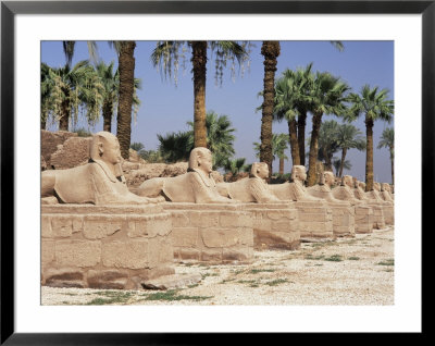 Avenue Of Sphinxes, Luxor Temple, Luxor, Thebes, Unesco World Heritage Site, Egypt by Gavin Hellier Pricing Limited Edition Print image