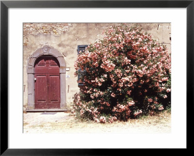 Door And Pink Oleander Flowers, Lucardo, Tuscany, Italy by Michele Molinari Pricing Limited Edition Print image