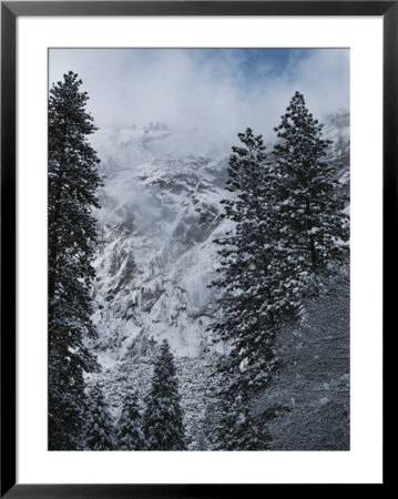 Scenic Of Snow-Covered Mountains And Fir Trees by Anne Keiser Pricing Limited Edition Print image