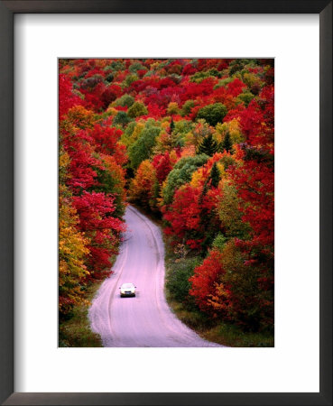 Car On Road At Autumn, Usa by Mark Newman Pricing Limited Edition Print image