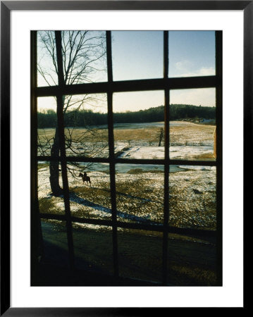 View Looking Out Through A Window At A Horseback Rider by Sam Abell Pricing Limited Edition Print image