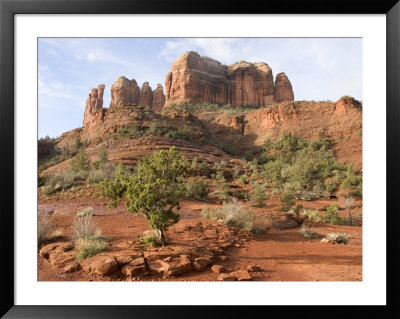 Desert Landscape And Rock Formations On The Way To Cathedral Rock by Charles Kogod Pricing Limited Edition Print image