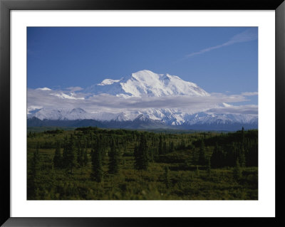 View Of The Tallest Mountain In North America, Mt. Mckinley by Stacy Gold Pricing Limited Edition Print image