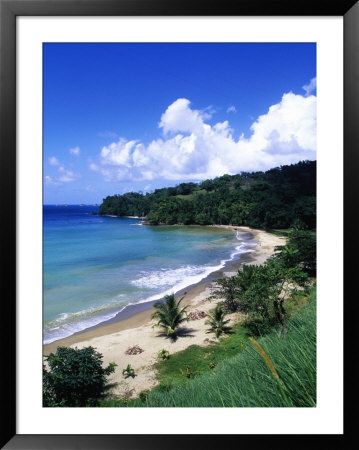 Bloody Bay, Tobago, Caribbean by Angelo Cavalli Pricing Limited Edition Print image